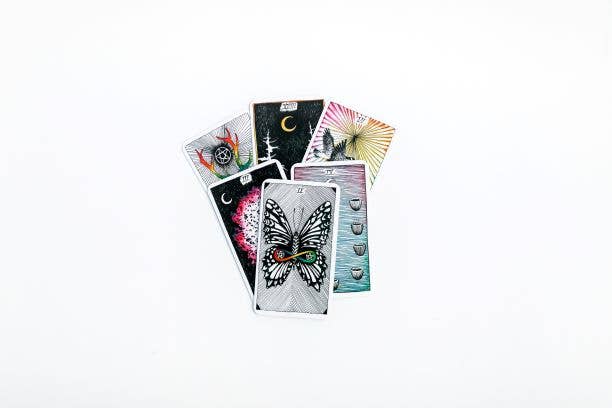 Wild Unknown Tarot Deck and Guidebook, The: Kim Krans