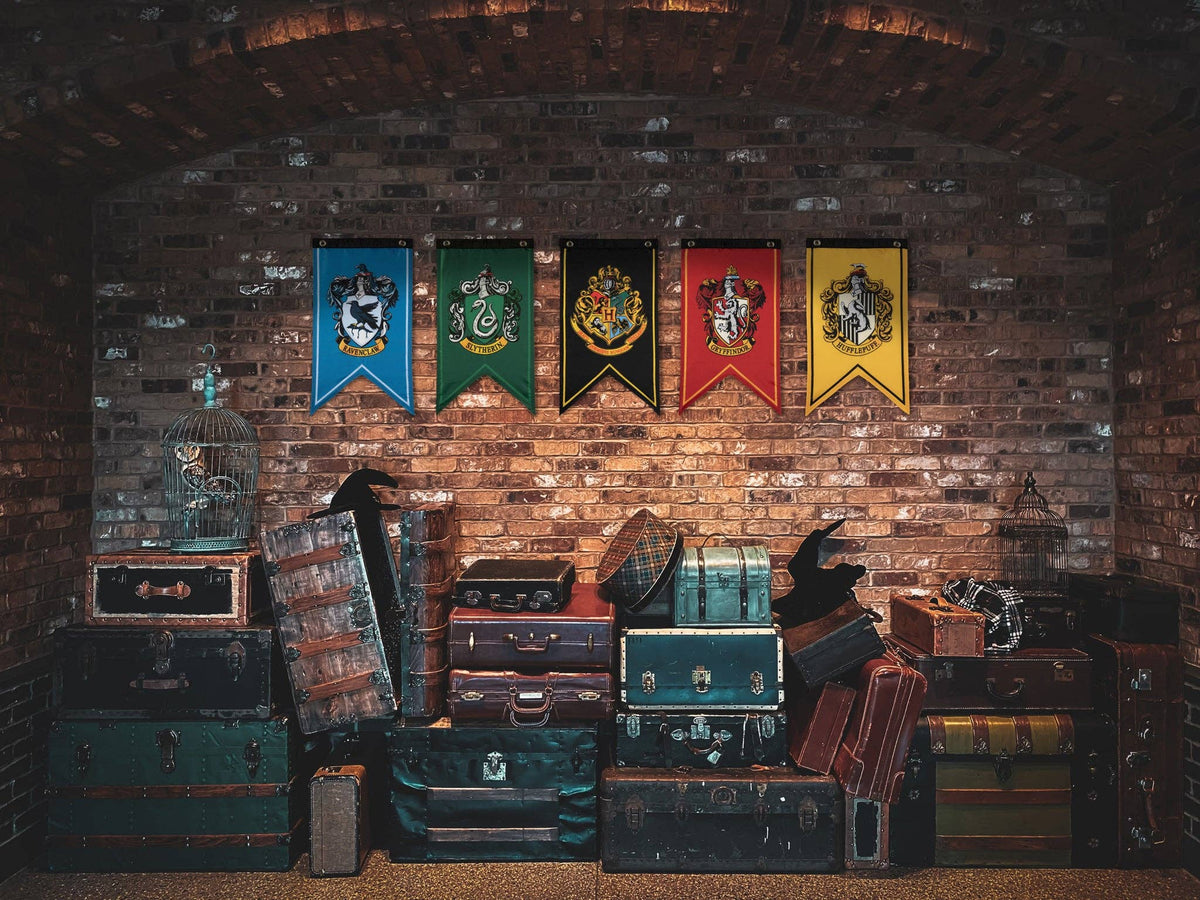 Harry Potter Hogwarts House Banner Flag Set (12'' x 20'')